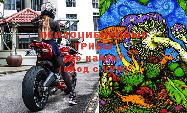 МДПВ Алзамай